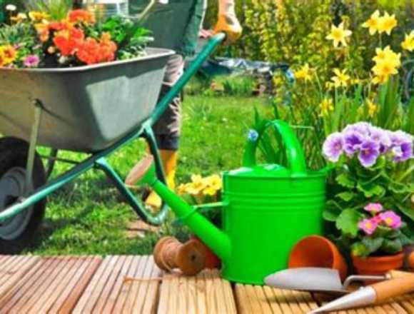 Me ofrezco como jardinero y mantenimiento en Dos Hermanas (Municipio)