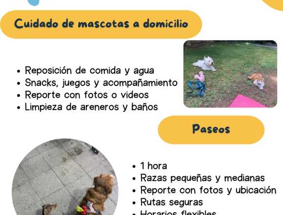 Paseos y cuidados a domicilio en Las Condes (Comuna)