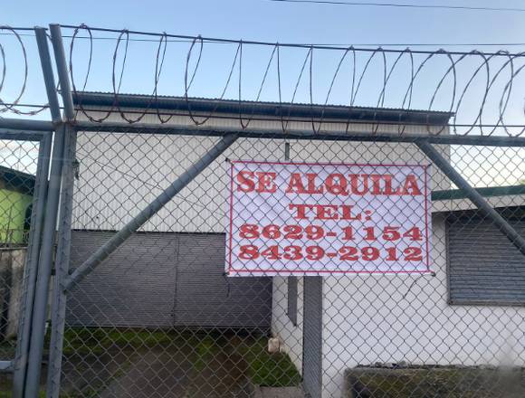 Alquiler de Bodega comercial en Limón (Cantón)