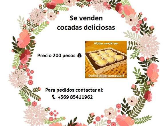 Deliciosas cocadas (conservas de coco) en Santiago (Comuna)
