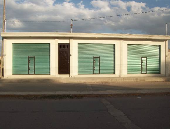 LOCALES COMERCIALES UBICADOS EN BOULEVARD en Villagrán (Municipio)