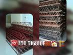 SOMOS FABRICANTES DE CERCHAS METALICAS