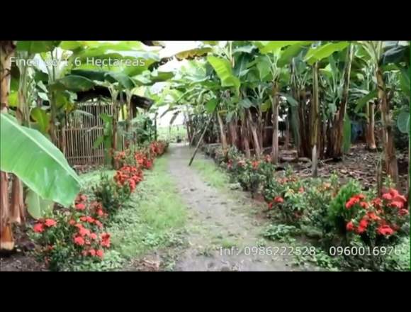 Venta de terreno en balzar en Balzar (Cantón)
