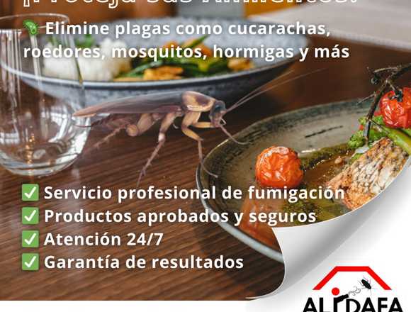 Fumigación profesional 24/7 para casas y negocios en San José (Cantón)