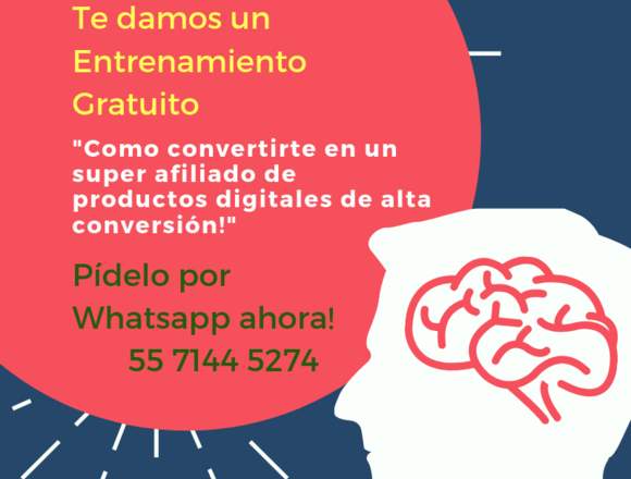 EMPREDEDOR DIGITAL RECIBE ENTRENAMIENTO GRATUITO
