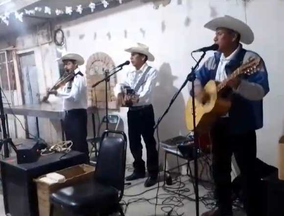Trio Huasteco para contratar en Puebla en Puebla (Municipio)