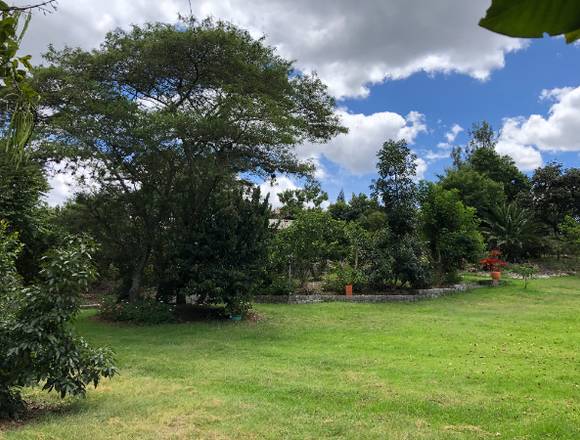 Arriendo habitación Tumbaco, sector la Esperanza en Quito (Cantón)