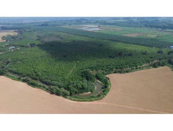 En venta finca para bananera en Guayaquil (Cantón)