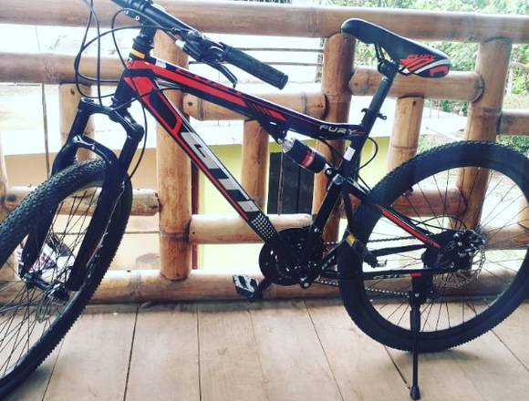 Bicicleta de montaña