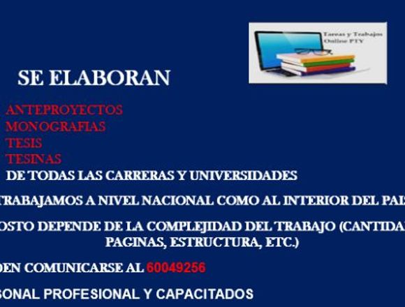 ELABORACIÓN DE TESIS Y MONOGRAFIA en San Carlos (Distrito)