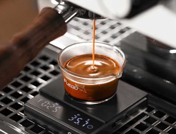 Fuego Kitchen Coffee Scale with Timer in Beverly Hills (Locality)