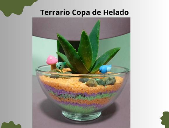 Terrarios con diseño en copa de helado en Medellín (Municipio)
