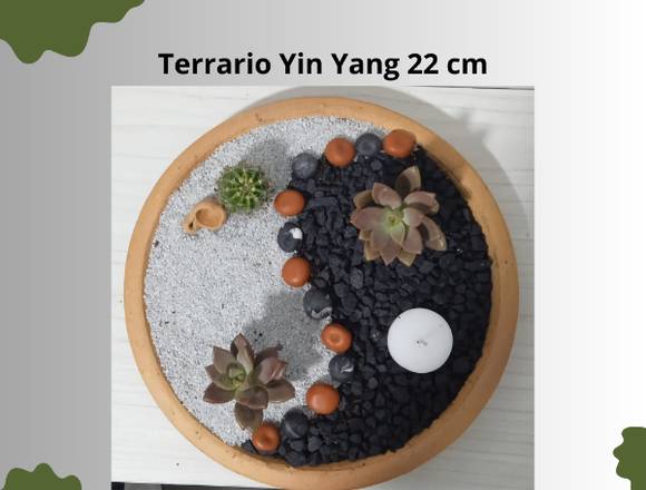 Terrario con diseño yin yang en Medellín (Municipio)