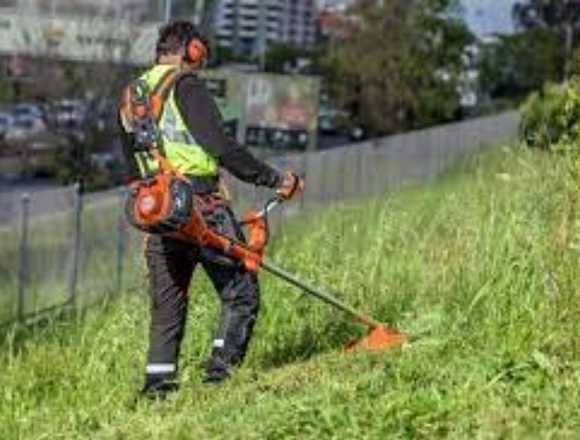 Mantenimiento de zonas verdes- Bucaramanga en Bucaramanga (Municipio)