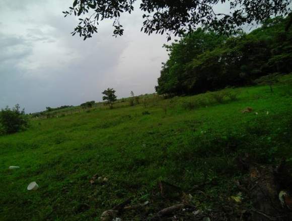 Parcela de terreno en la mata santiago en Santiago (Distrito)