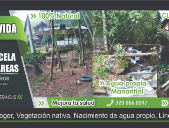 FINCA ECONÓMICA EN IBAGUE en Ibagué (Municipio)