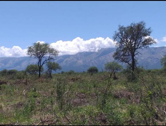 Lotes- Merlo San Luis.