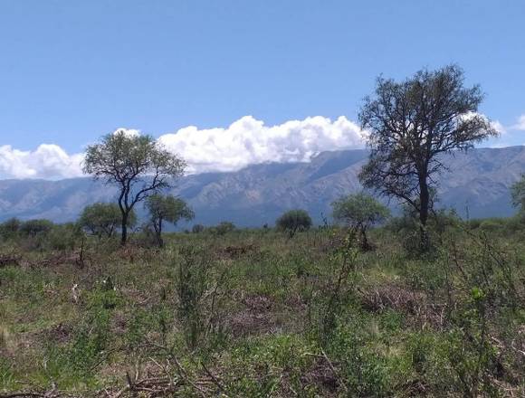 Lotes- Merlo San Luis. en Rio Cuarto (Localidad)