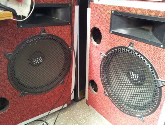 Equipo de Sonido semi pesado para Banda o DJ en Buenos Aires (Localidad)