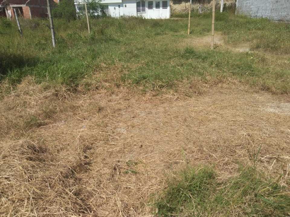 VENDO LOTE DE 6X11 CON LICENCIA GLOBAL en Cartago (Municipio)