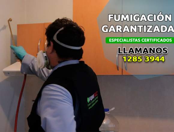 Fumigaciones fumired, solución garantizada en Álvaro Obregón (Municipio)