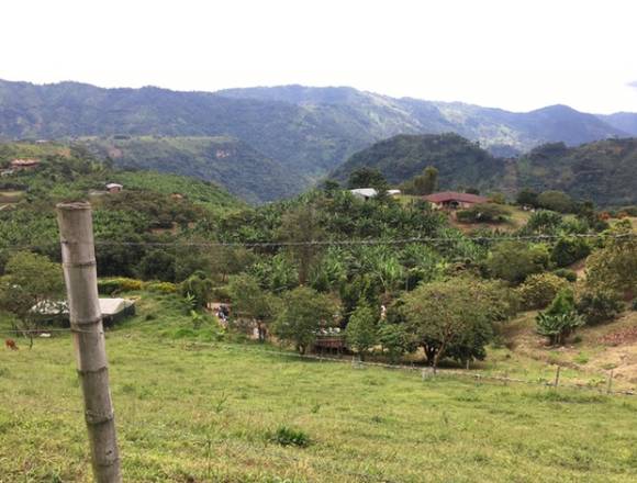 VENTA HERMOSO LOTE VEREDA LA TRINA LIBANO TOLIMA en Líbano (Municipio)