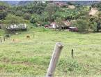 VENTA HERMOSO LOTE VEREDA LA TRINA LIBANO TOLIMA
