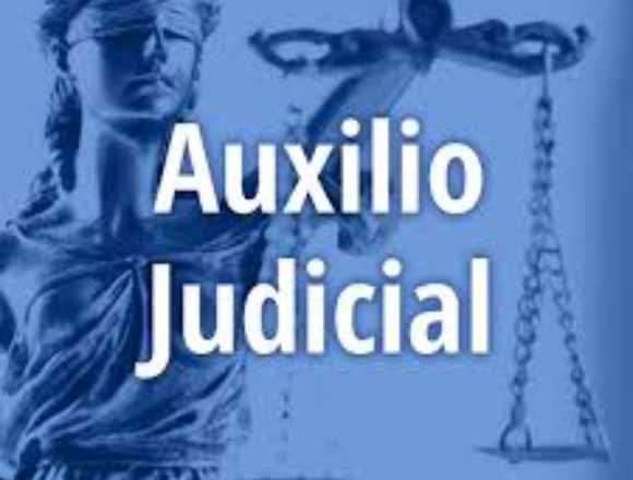 Temario reducido auxilio judicial