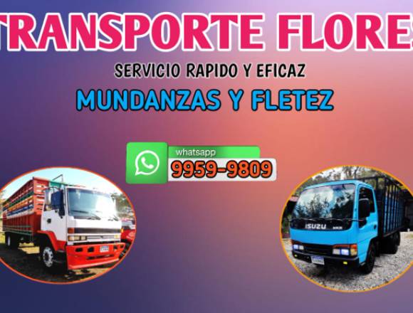 FLETES Y MUDANZAS DESDE COPÁN HN