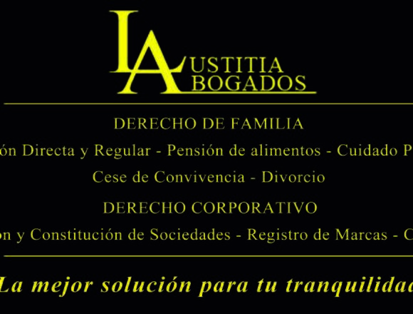 Abogados Derecho de Familia. en Santiago (Comuna)