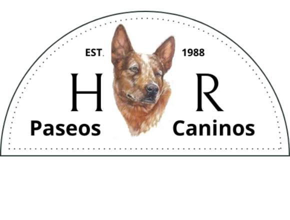 Paseador de Perros HyR en Montevideo (Localidad)