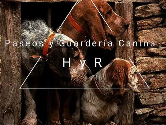 Guardería para Perros en Montevideo (Localidad)