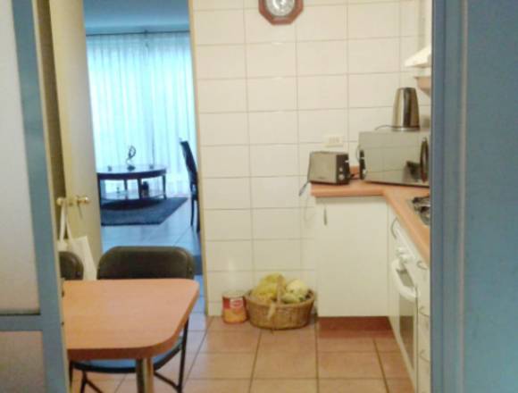 Casa 4 dormitorios, Nemesio Vicuña, Puente Alto en Puente Alto (Comuna)
