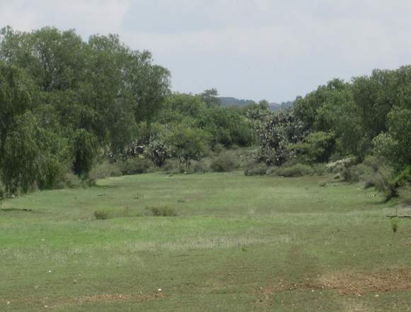 TERRENO 8.2 HECTAREAS en Temascalapa (Municipio)