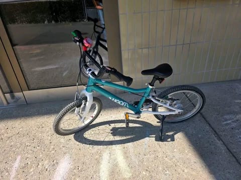 Vélo enfant Woom 3 Go Automatic à Colmar (Commune)