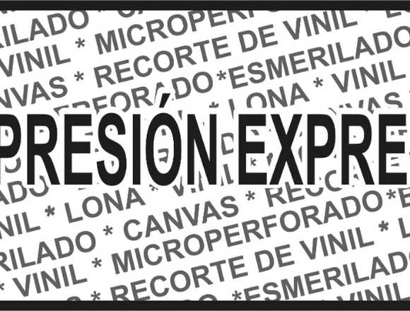 VINIL IMPRESO ALTA Y GRAN FORMATO en Guadalajara (Municipio)