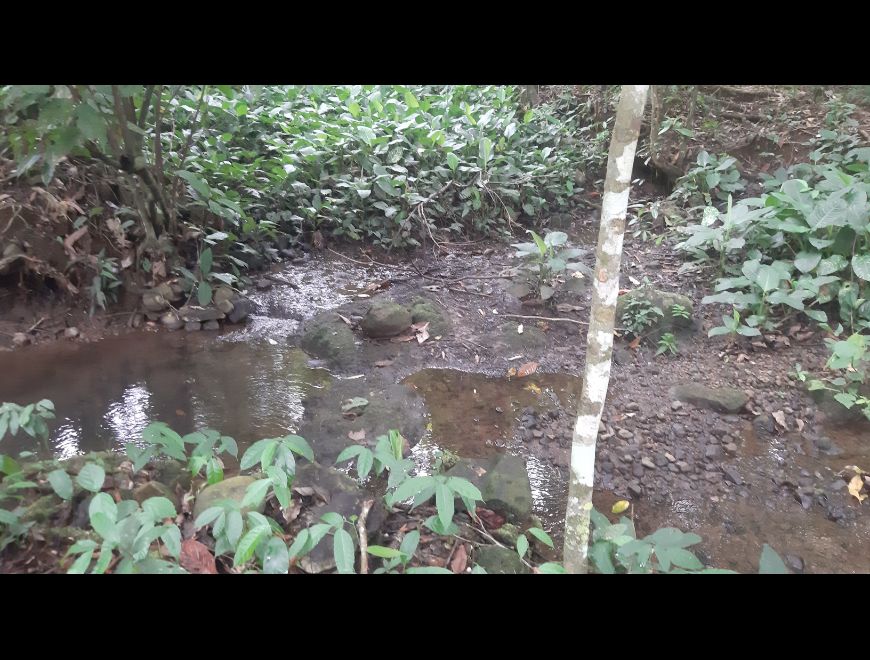 SE VENDE TERRENO DE 2 HECTÁREAS Y MEDIA en Bugaba (Distrito)