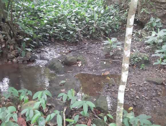 SE VENDE TERRENO DE 2 HECTÁREAS Y MEDIA en Bugaba (Distrito)