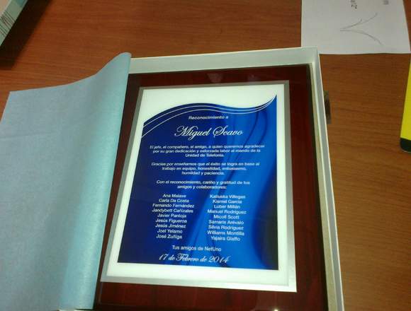 Placas de reconocimiento digitalizada/encapsulada en Libertador (Municipio)