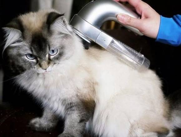Maquina removedora de pelos para perros y gatos