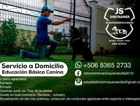 Adiestramiento Canino a Domicilio en San José (Cantón)
