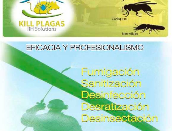 Fumigación Desratización en Pucón (Comuna)