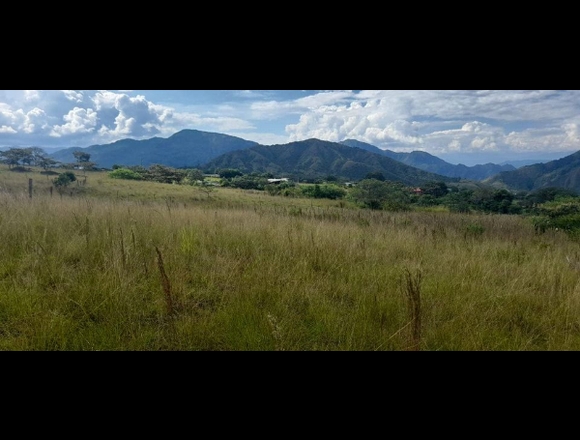 VENTA DE 2 LOTES EN UNO MAZATLÁN GIGANTE HUILA