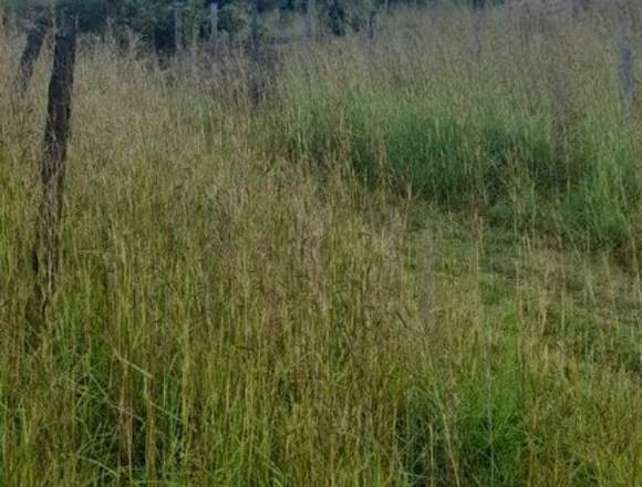 VENTA DE 2 LOTES EN UNO MAZATLÁN GIGANTE HUILA en Neiva (Municipio)