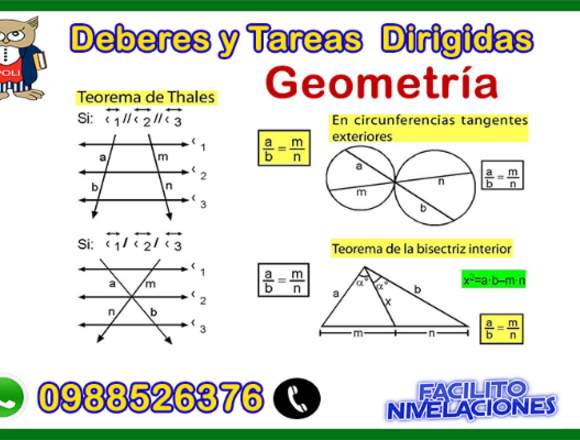 Tareas dirigidas de física,geometría,estática en Quito (Cantón)
